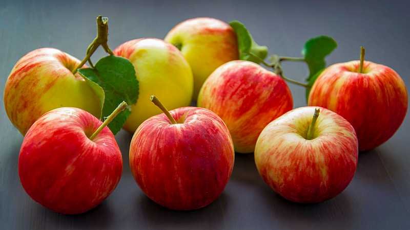 Apples are good for the lungs health