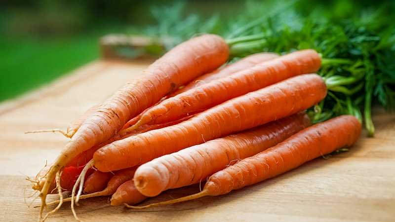 Carrots are Supporting the Lungs Mucous Membranes